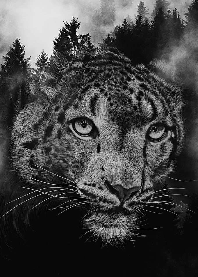 Leopard