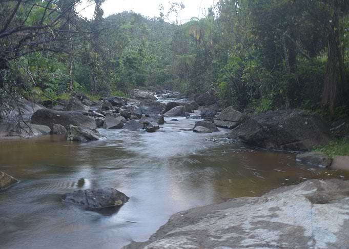 Rio Sabanas River