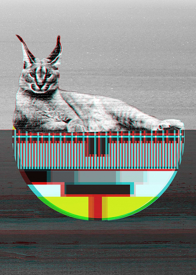 Glitch Caracal