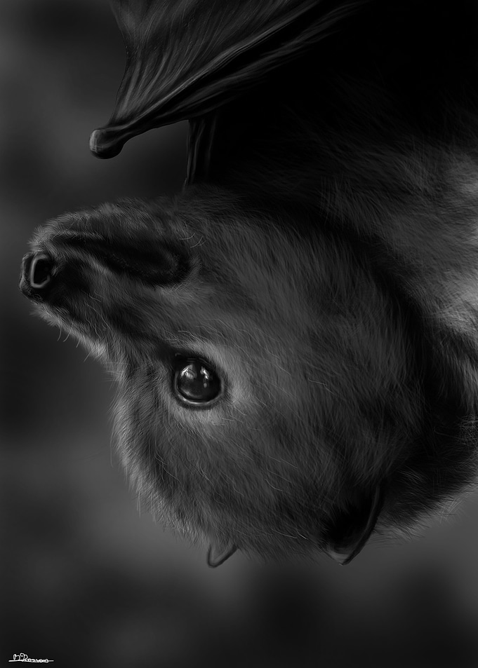 Bat