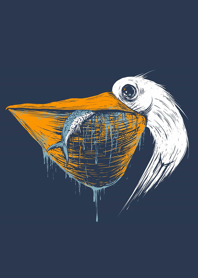 Pelican