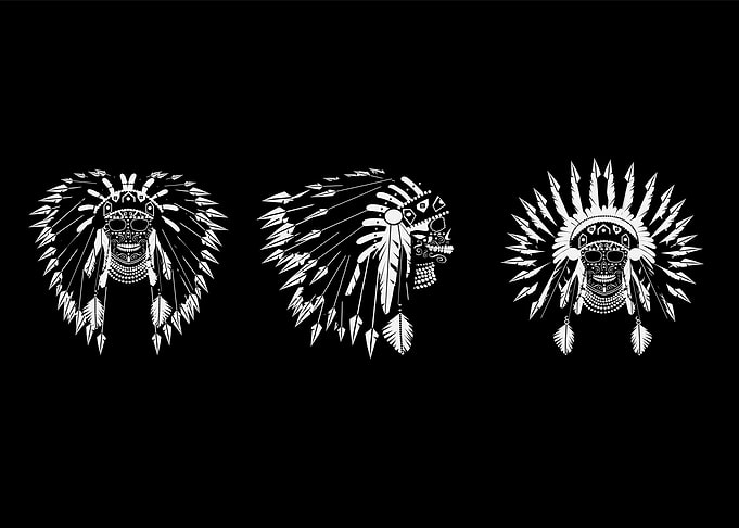 A skulls with war bonnet