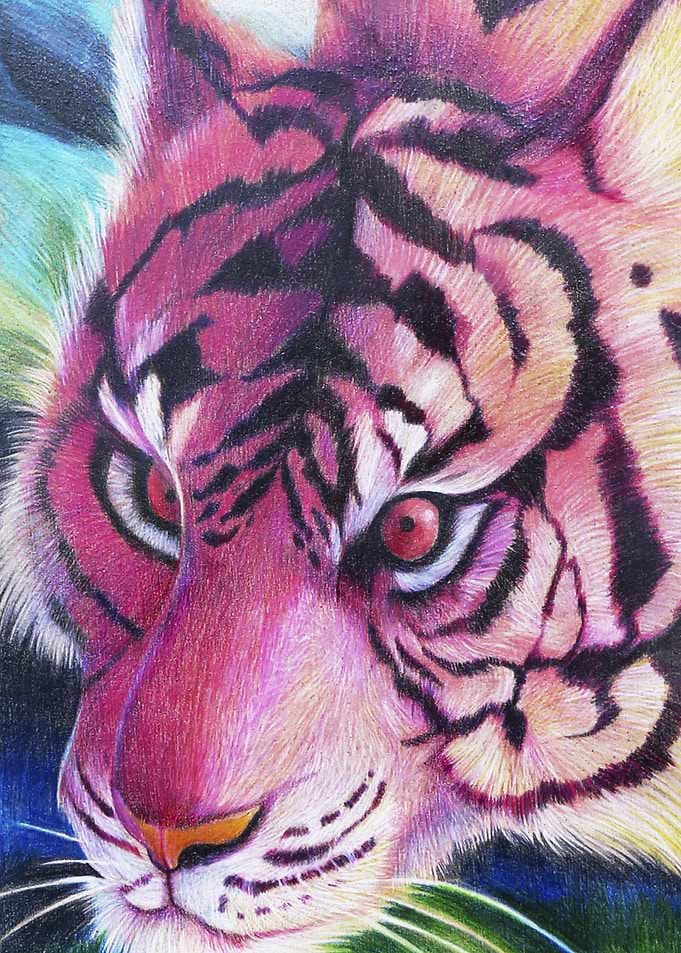 Pink Tiger