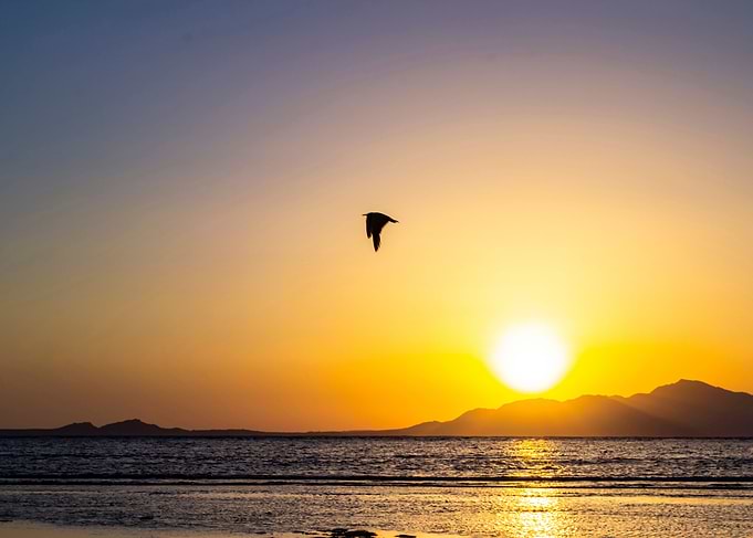 Beautiful colorful sunset