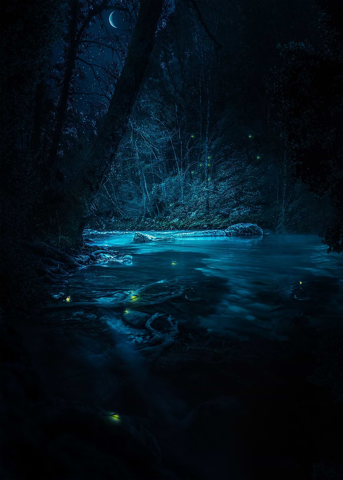 Magical Night
