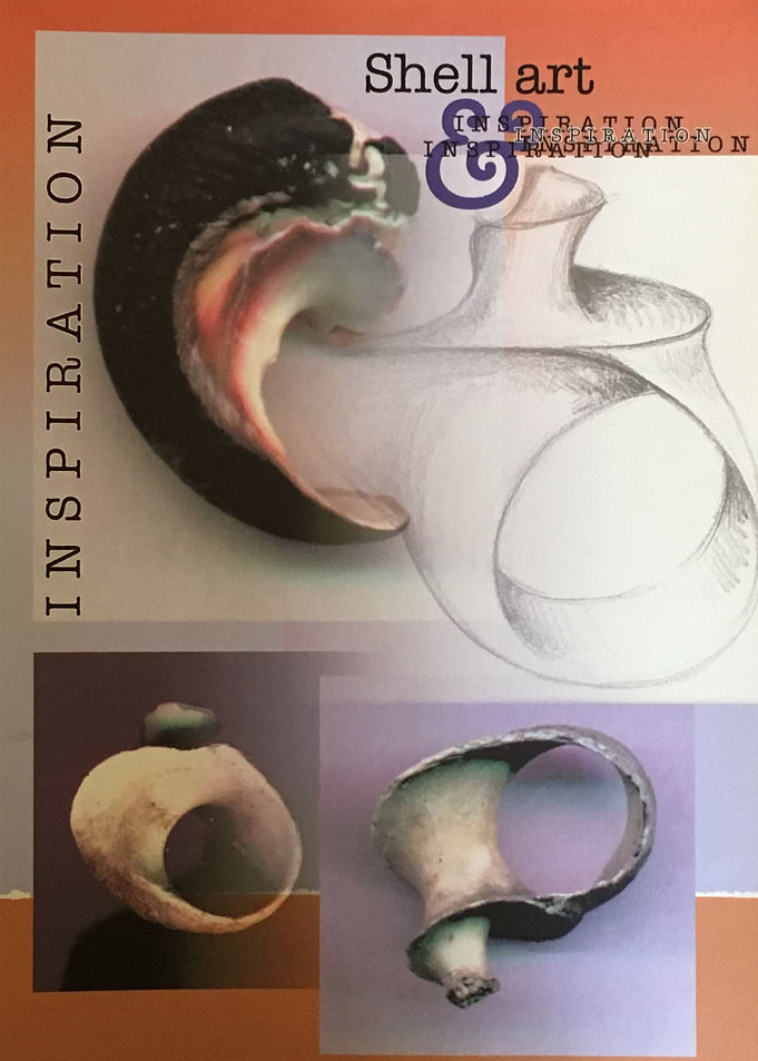 africa shell1