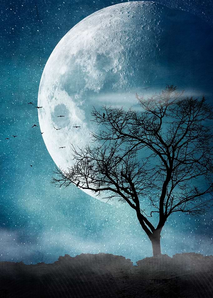moon blues