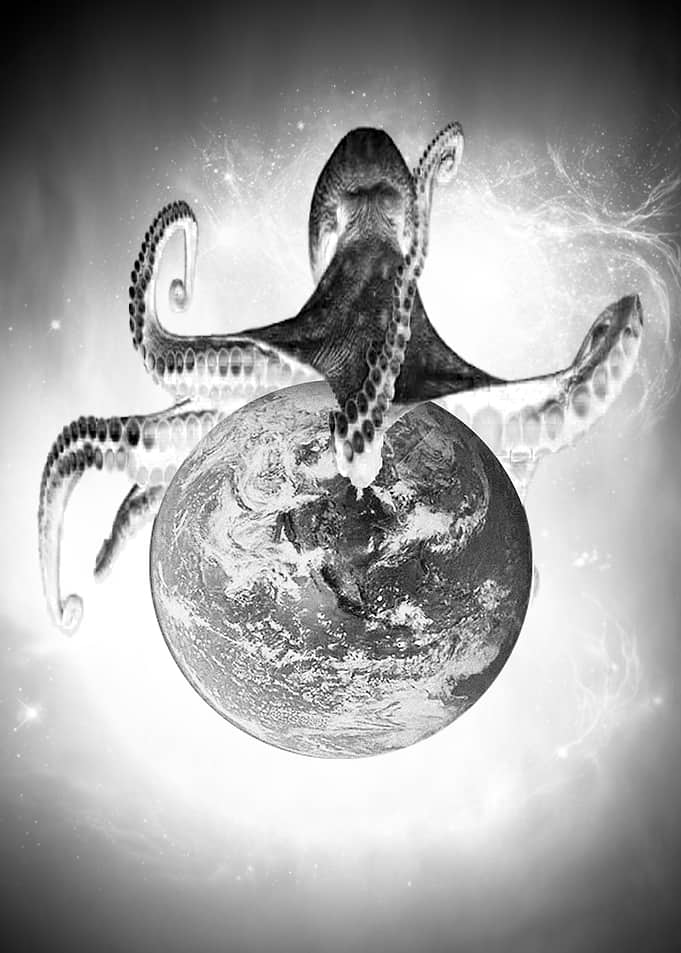octopus