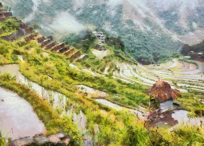 Terraces