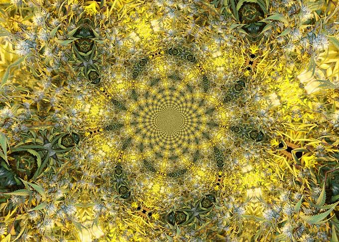 Fractal TheCannabis Vortex