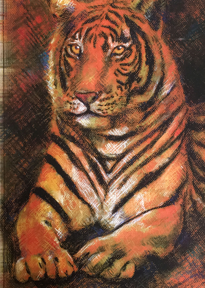 africa tiger