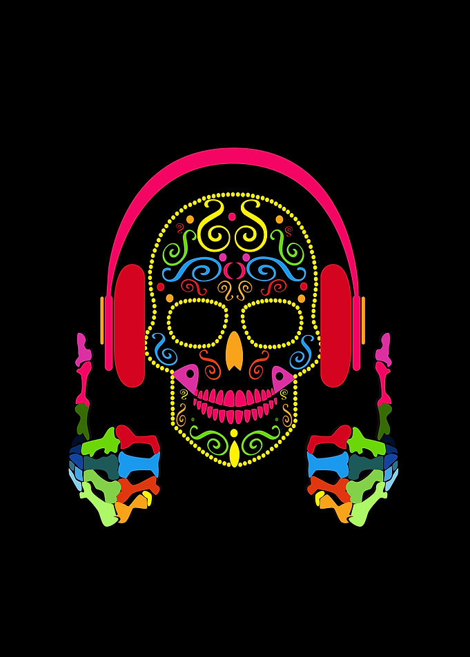 DJ skull with headphobnes