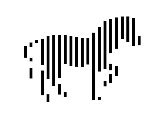 White Zebra Black Stripes