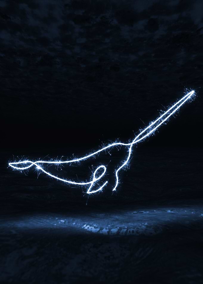 sparkling swordfish