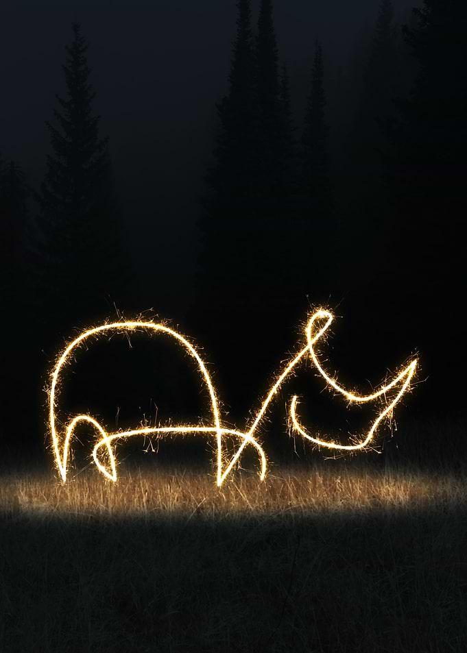 sparkling rhino