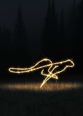 sparkling cheetah
