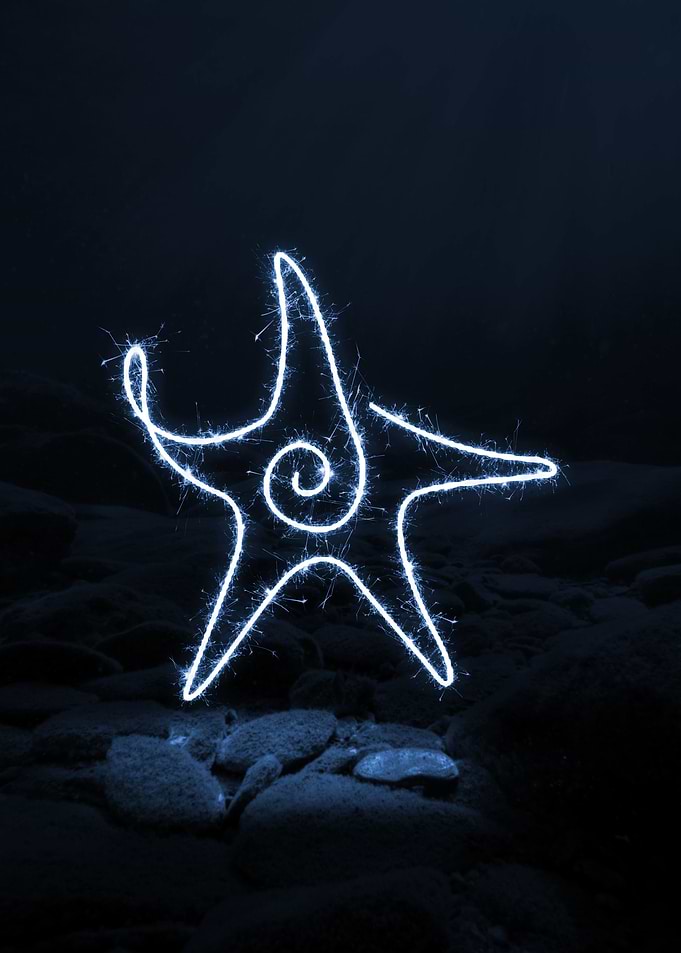 sparkling star fish