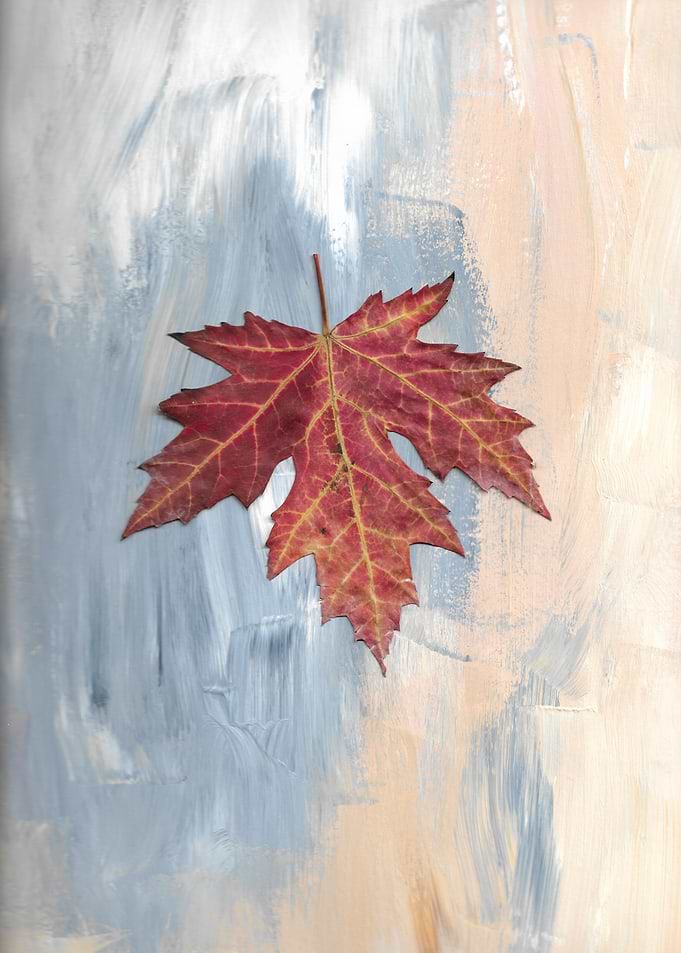 untitled2
