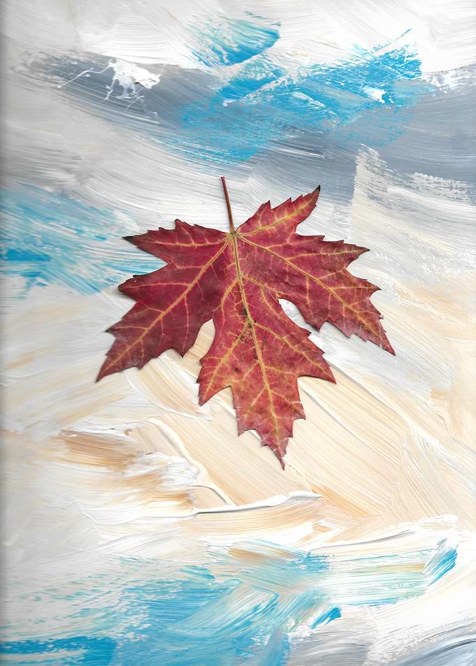 untitled6