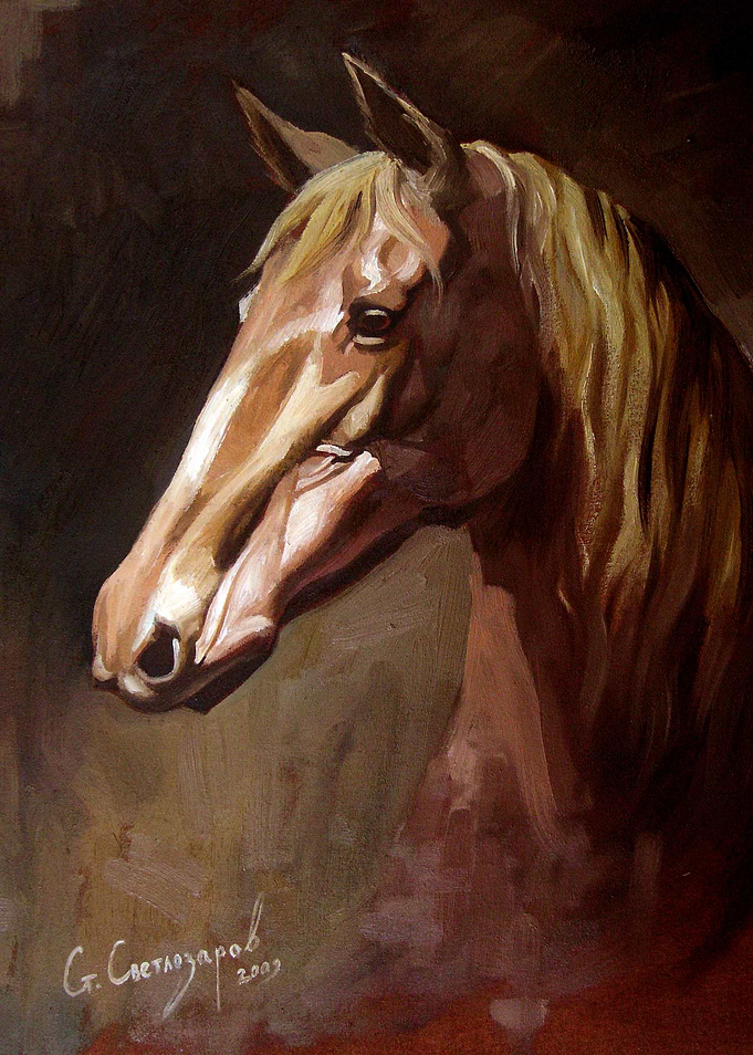 Horse
