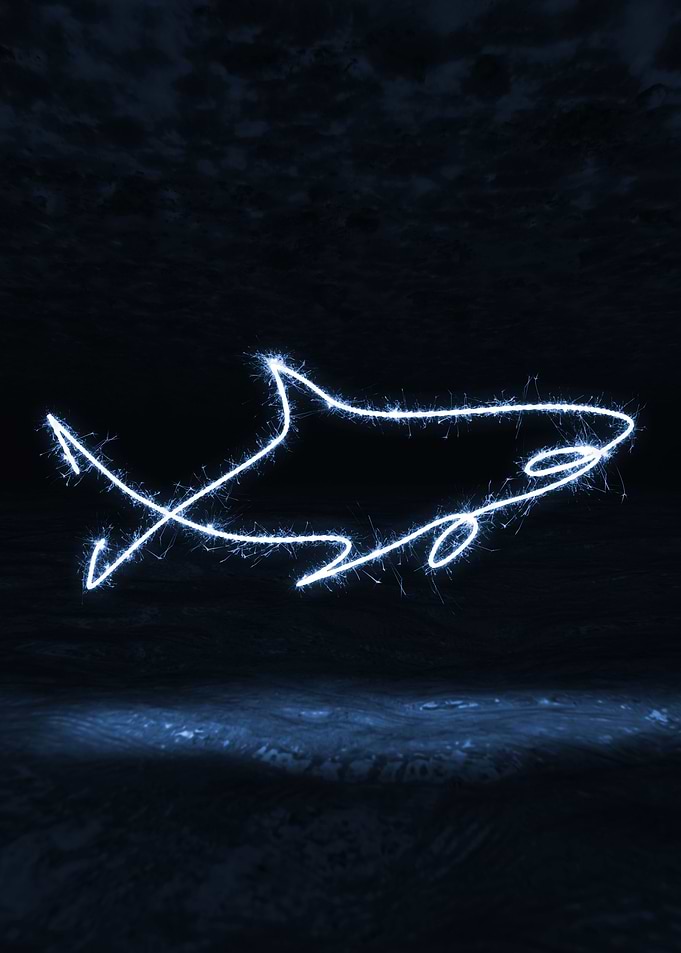 sparkling shark