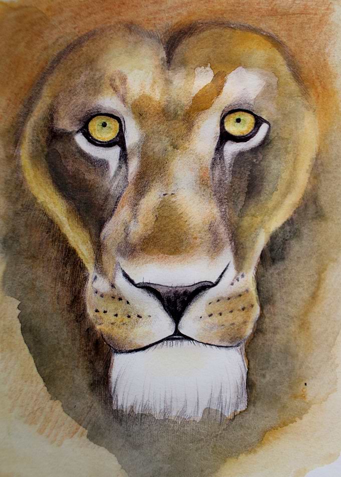 Lion of Africa