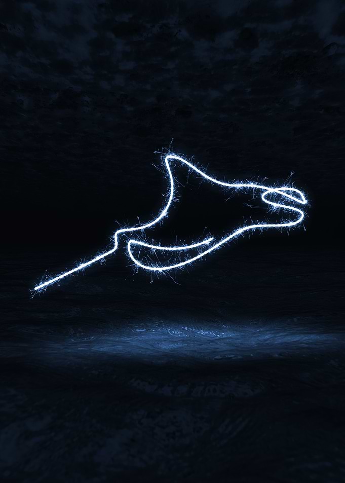 sparkling manta rays