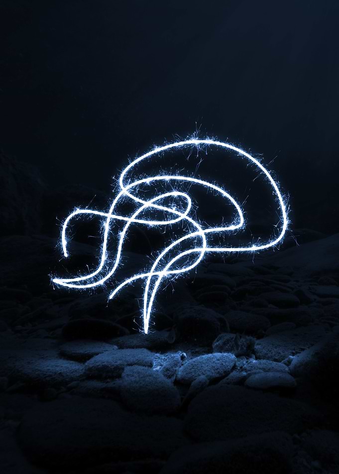 sparkling jellyfish