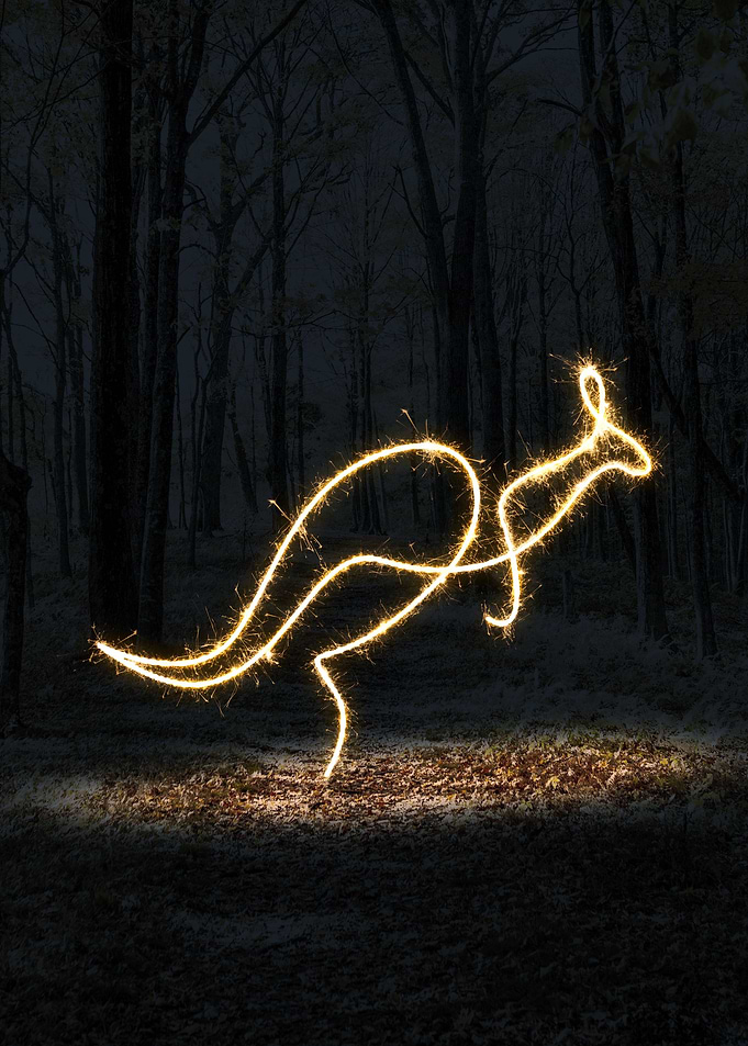 sparkling kangaroo