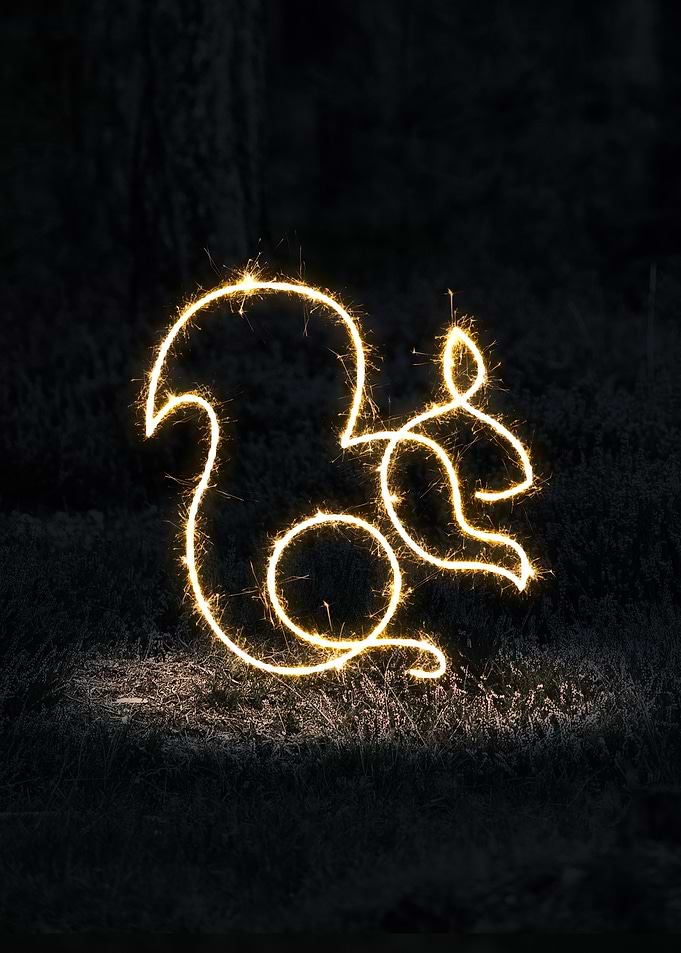 sparkling squirrel