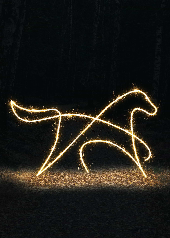 sparkling horse