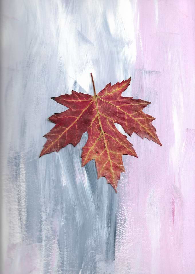 untitled3