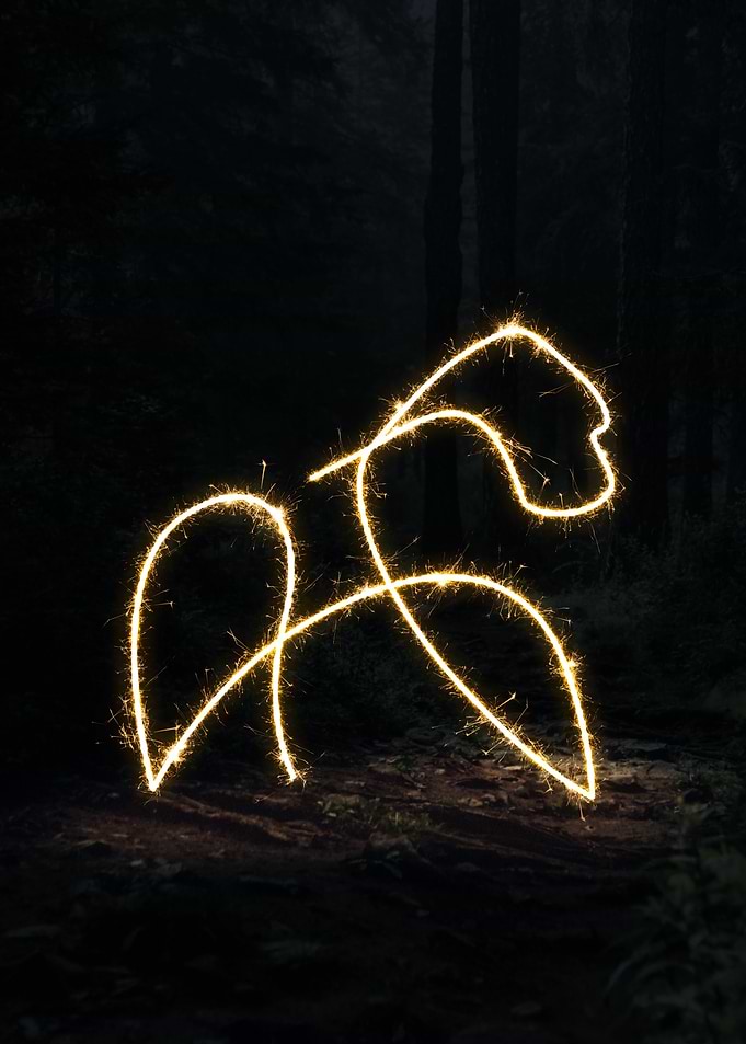 sparkling kong