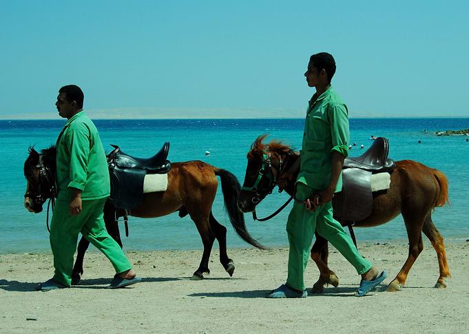 Blue Green and Brown