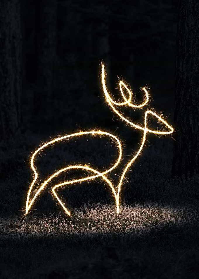 sparkling deer