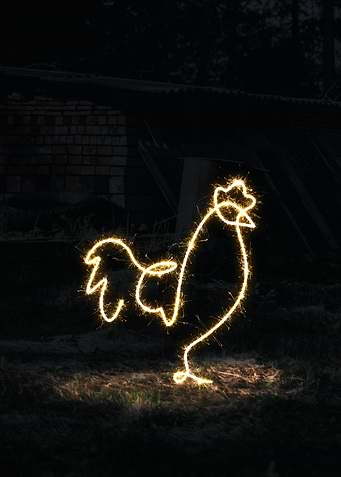 sparkling chicken