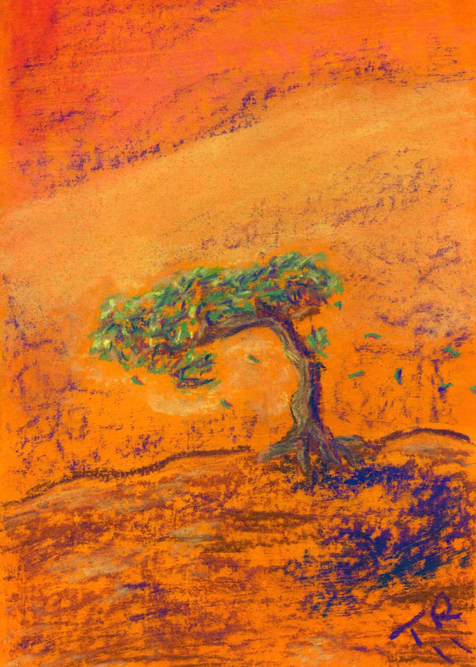 Orange Bonsai