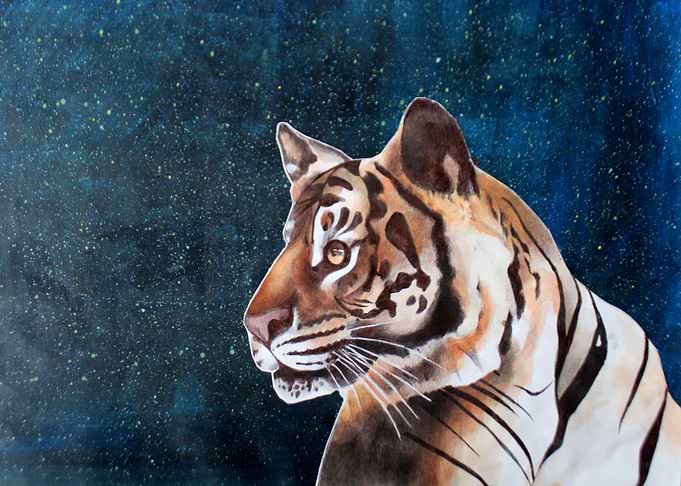 Tiger in the moonlight