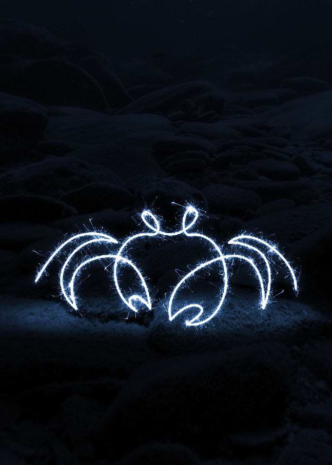 sparkling crab