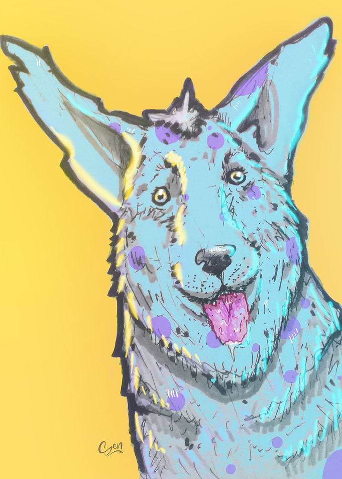 Dog in Yellow
