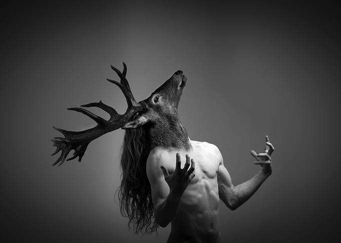 Animal Inside