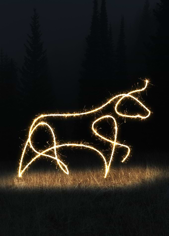 sparkling bull