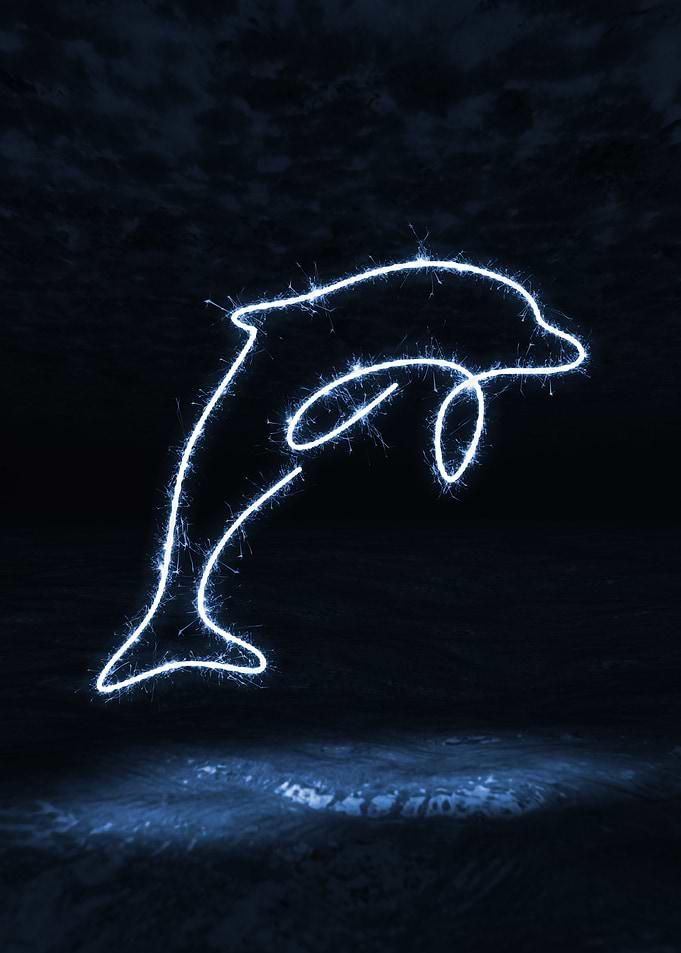 sparkling dolphin