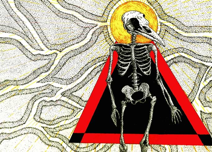 bird skulled
