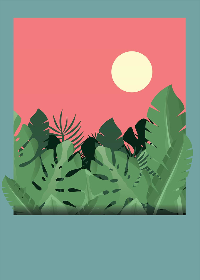 Lost Window