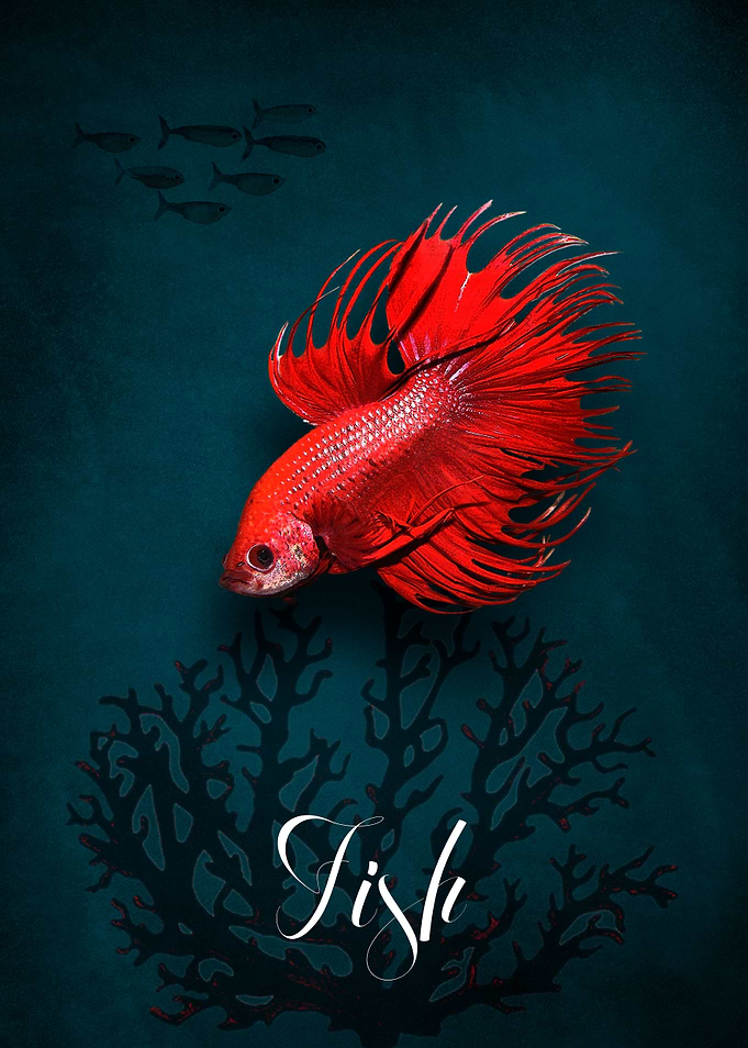 REDFISH