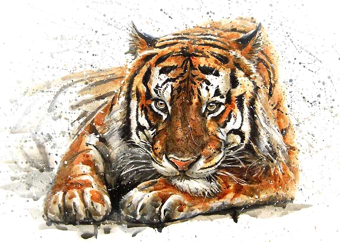 Tiger watercolor