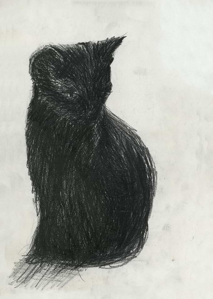 kitten