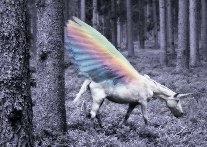 Chasing the Unicorn