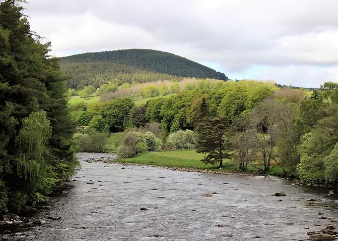Glenshee and trees